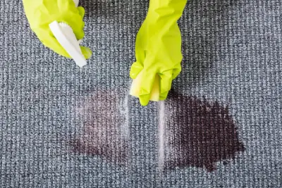 Carpet Stain Removal